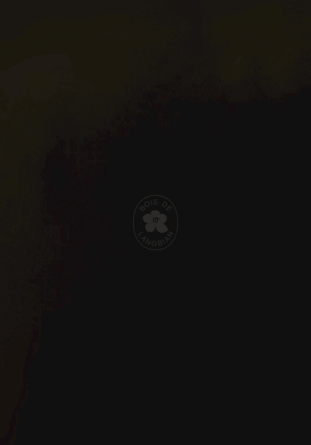 Bois de Langbian scene description video
